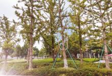 钱江世纪公园19