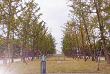 钱江世纪公园12