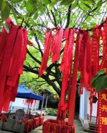 西施故里30