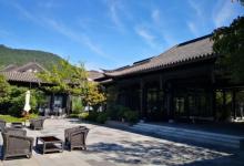 桃李春风19