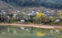 桃李春风3