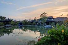 桃李春风14