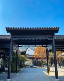 桃李春风5