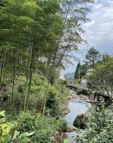 青山村4