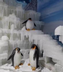 奇境冰雪世界11