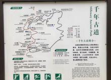 西天目风景区7