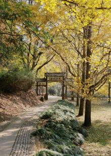 五泄风景区21