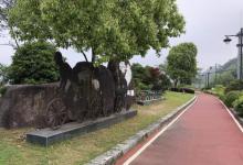 千岛湖半岛绿道露营营地6