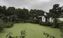 西溪国家湿地公园-水墨西溪4