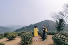 龙井山园茶文化村8