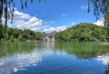 半山国家森林公园11