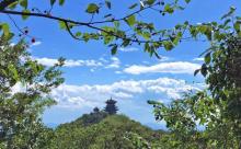 半山国家森林公园9