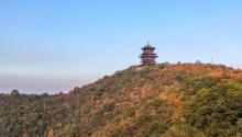 半山国家森林公园13