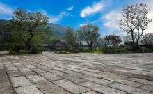 白塔公园6