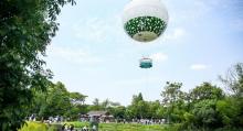 西溪空中揽胜氦气球1