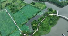 德清下渚湖湿地公园4
