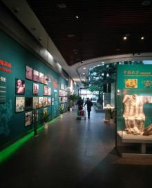 中国湿地博物馆6