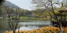 太子湾公园27
