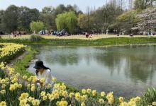 太子湾公园25
