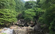 天目山景区22