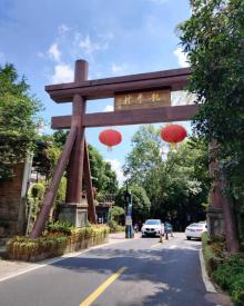 龙井村19
