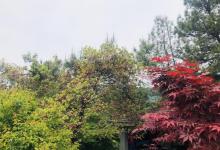 梅峰岛18