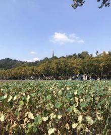 断桥残雪23