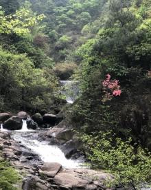 大奇山国家森林公园9