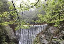 大奇山国家森林公园15