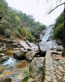大奇山国家森林公园28