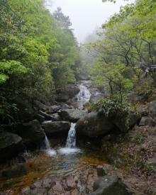 大奇山国家森林公园11