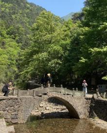 大奇山国家森林公园21