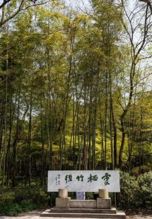 云栖竹径13