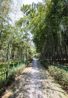 云栖竹径12