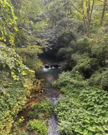 灵隐飞来峰景区13