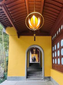 灵隐飞来峰景区12