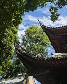 灵隐飞来峰景区23