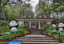 杭州动物园12