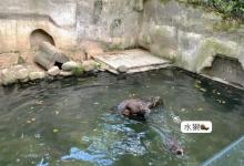 杭州动物园18