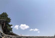 杭州动物园17