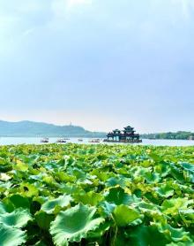 西湖游船23