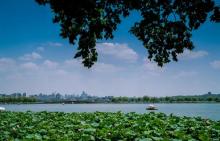 西湖游船7