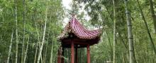 瀛东村9