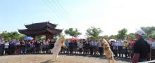 瀛东村6