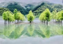 长汀沙滩3