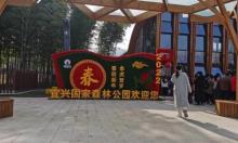 宜兴国家森林公园2