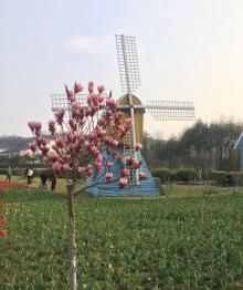 宜兴国家森林公园6