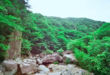 天目大峡谷3