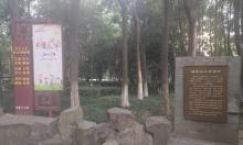 骆宾王公园1