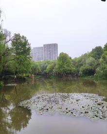 骆宾王公园4